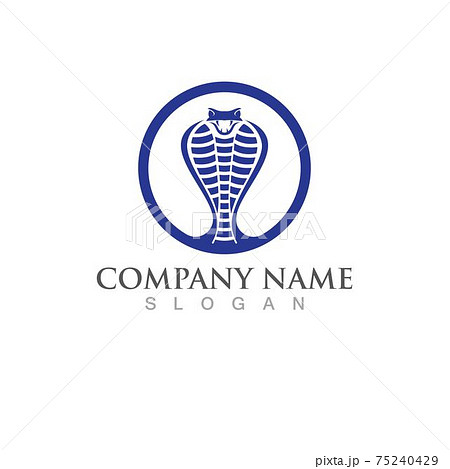 Viper head logo and symbol vector Viper head logo and symbol vector 75240429