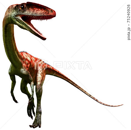 Coelophysis 3D illustration Coelophysis 3D illustration 75240926