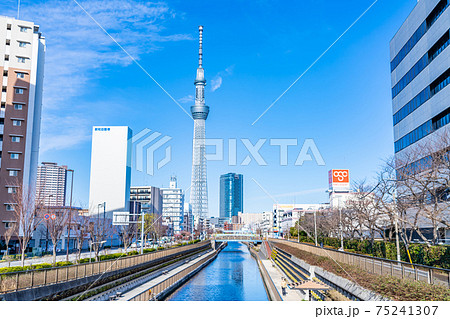 東京の都市風景 北十間川とスカイツリー 東京の都市風景 北十間川とスカイツリー 75241307