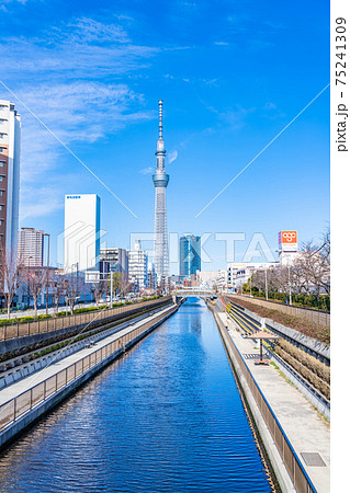 東京の都市風景 北十間川とスカイツリー 東京の都市風景 北十間川とスカイツリー 75241309