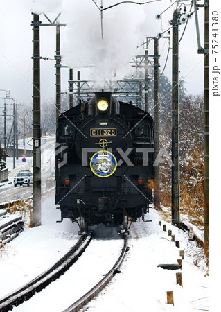 雪路を行く蒸気機関車…SL大樹・C11-325 雪路を行く蒸気機関車…SL大樹・C11-325 75241380