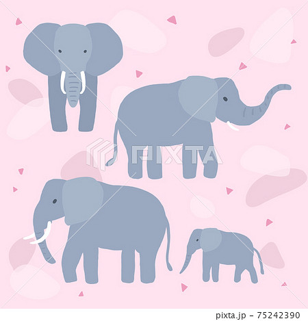イラスト 動物 象のイラスト素材