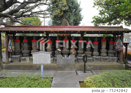 3月　中野80福蔵院･十三仏 75242842
