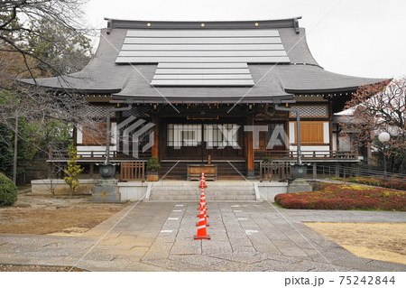 3月　中野79福蔵院･本堂 75242844
