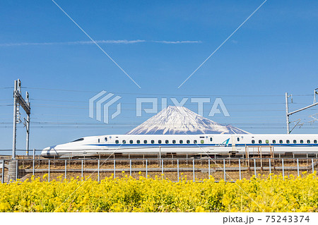 「静岡県」菜の花畑越しに眺める富士山と新幹線 75243374