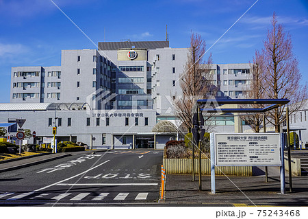 東京歯科大学市川総合病院 東京歯科大学市川総合病院 75243468