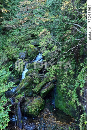 抱返り渓谷の回顧の滝の下流の情景@秋田 抱返り渓谷の回顧の滝の下流の情景@秋田 75243964