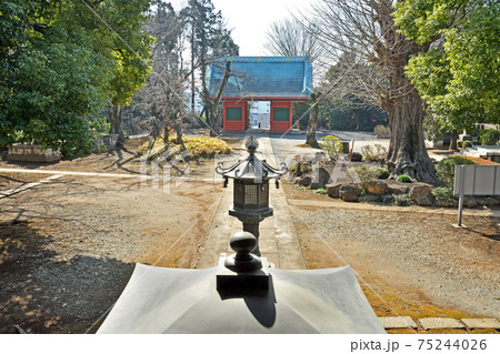 流鉄沿線散歩：東福寺　真言宗豊山派 75244026