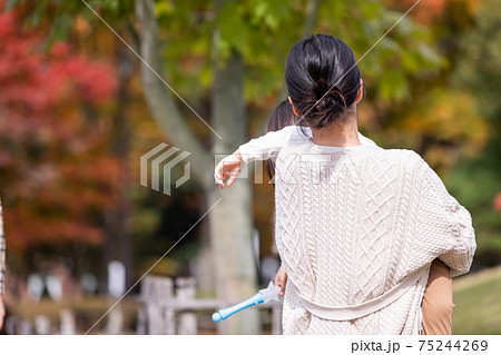 秋の公園で遊ぶ家族・ファミリー 秋の公園で遊ぶ家族・ファミリー 75244269