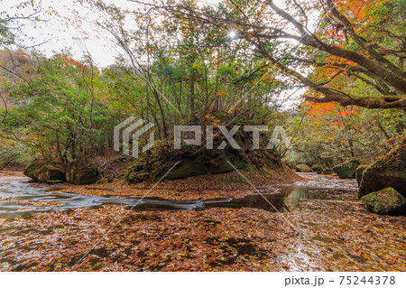 秋の岳切渓谷　大分県宇佐市 75244378