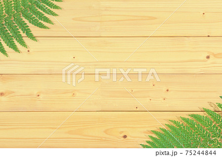 背景素材　板張りと裏白羊歯　コピースペース　 75244844