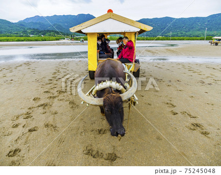 由布島の風景 沖縄県 由布島の風景 沖縄県 75245048