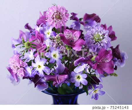 青春 青春 75245143