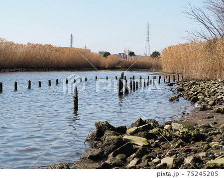 東京スカイツリーと江北橋と高速と荒川 東京スカイツリーと江北橋と高速と荒川 75245205