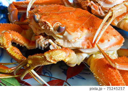 冬の味覚、塩ゆでしたせこがに 75245257