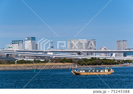 お台場と東京スカイツリー 75245388