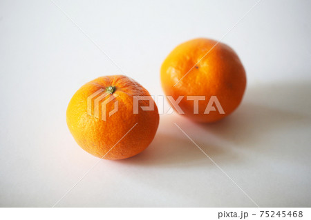 秋の果物　温州みかん 75245468