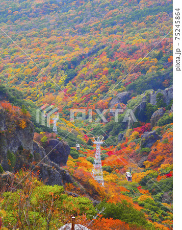 寒霞渓ロープウェイ 75245864