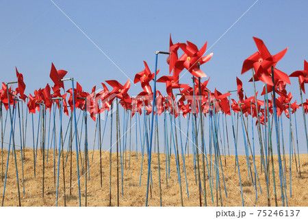 空 湖 ゴンドラ 75246137