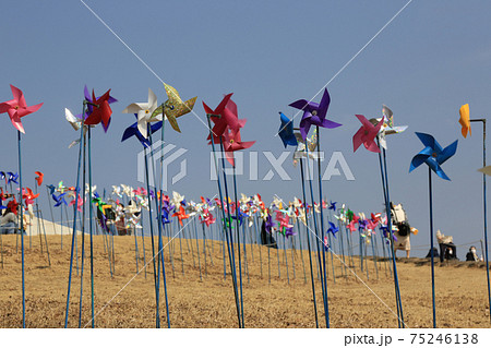 空 湖 ゴンドラ 75246138