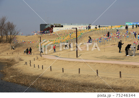 風景 韓国 ゴンドラ 75246344