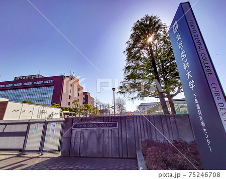 東京歯科大学 東京歯科大学 75246708