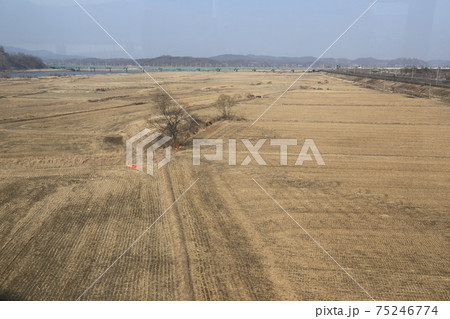 鳥 空 風景 75246774
