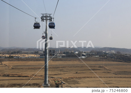 鳥 空 風景 75246800