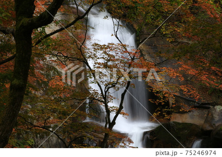 秋 滝 紅葉 75246974