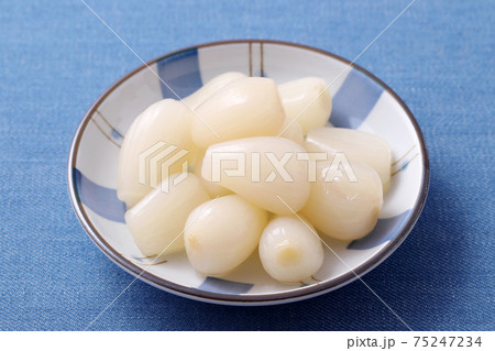 らっきょ 75247234