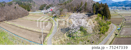 空撮「群馬県」発知のヒガンザクラ 75247339