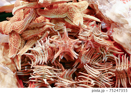 a Dried squid is seafood product, made from flying squid. a Dried squid is seafood product, made from flying squid. 75247355