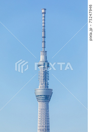 快晴の青空と東京スカイツリー 75247946