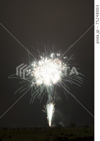 【群馬県】藤岡市の花火大会 75248003