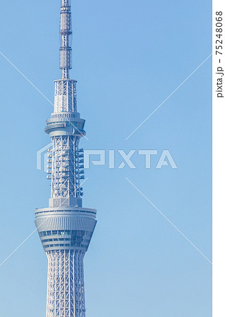 快晴の青空と東京スカイツリー 75248068