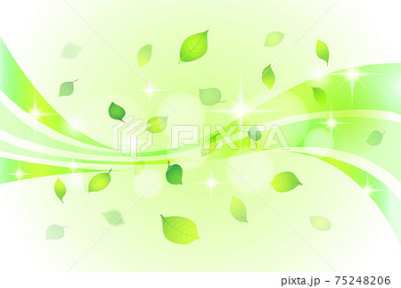 爽やかな新緑の背景素材のイラスト素材
