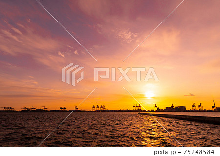 東京　サンセット　2021　大井コンテナ埠頭 75248584