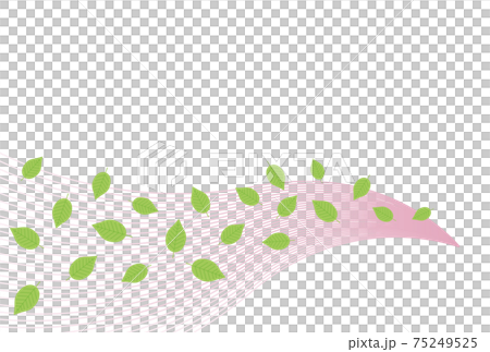 Sakuranoha網站 75249525