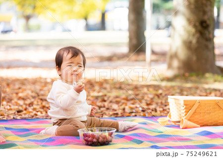 ブドウを食べる赤ちゃん(まずい顔) ブドウを食べる赤ちゃん(まずい顔) 75249621