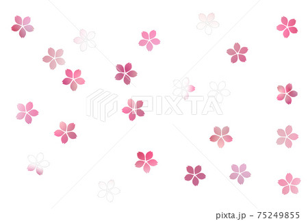 桜の花びらの背景2のイラスト素材