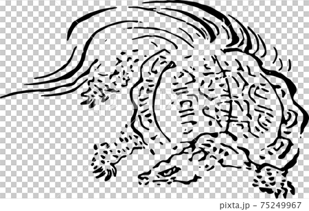 一隻眼睛不好的烏龜 一隻眼睛不好的烏龜 75249967