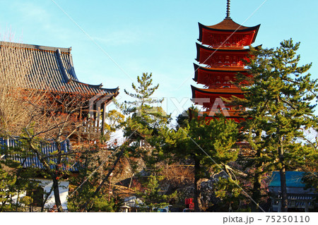 厳島神社の廊下から眺めた豊国神社（千畳閣）と五重塔 75250110