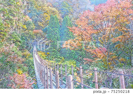 樅木の吊り橋 五家荘 水彩 樅木の吊り橋 五家荘 水彩 75250218