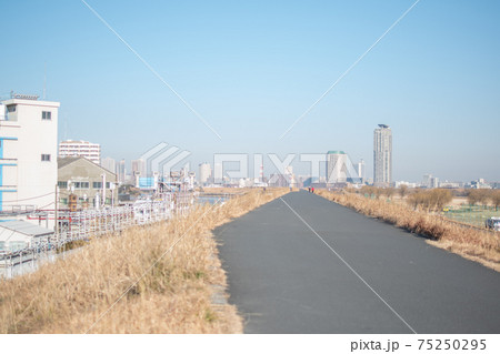 荒川土手の風景/東京都足立区新田 荒川土手の風景/東京都足立区新田 75250295