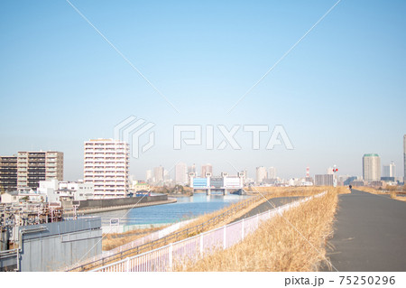 荒川土手の風景／東京都足立区新田 75250296