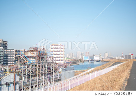 荒川土手の風景/東京都足立区新田 荒川土手の風景/東京都足立区新田 75250297
