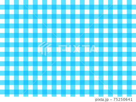 チェック柄【水色】 75250641