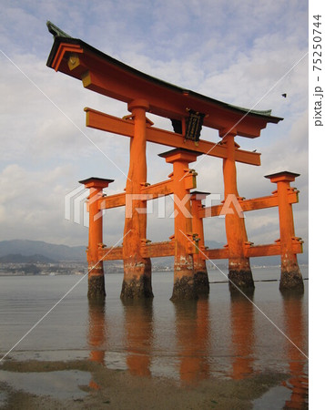 海に立つ鳥居 75250744