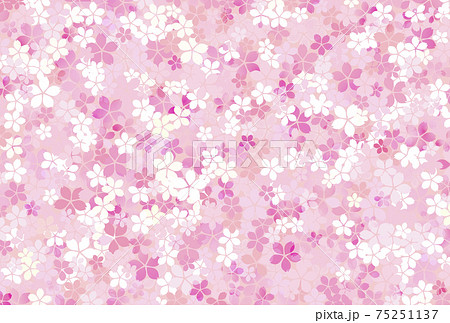 桜の花びらがいっぱいの背景 桜の花びらがいっぱいの背景 75251137