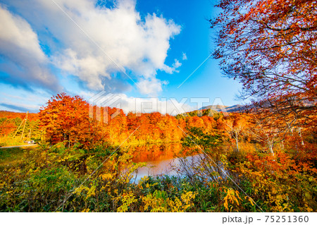 地蔵池の紅葉 75251360